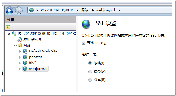 windows2008服务器安装SSL证书https教学插图10