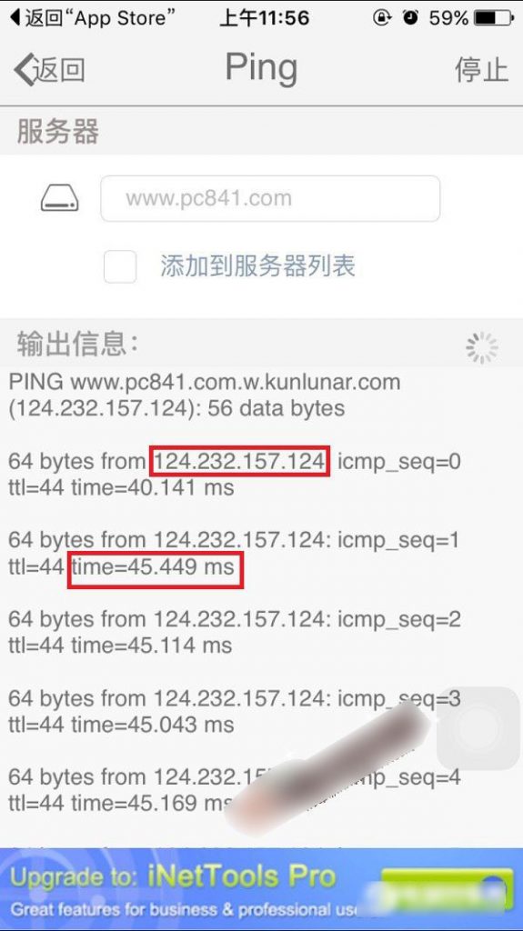 iPhone苹果手机如何进行使用ping域名IP测试网络插图3