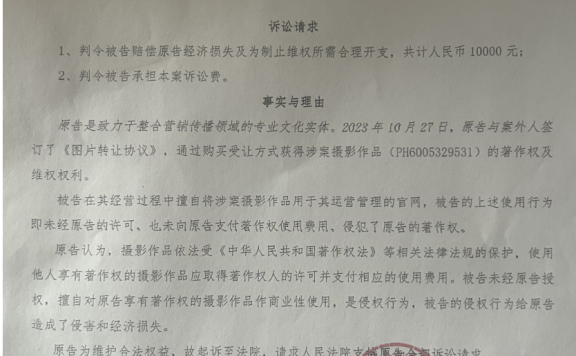 企业网站因使用一张有版权的图片被告侵权